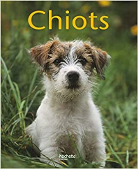 Chiots